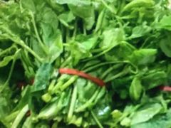 菠菜-桐庐江南农贸市场