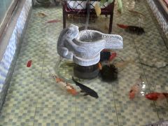 -向阳庄烧烤店(望京西园店)