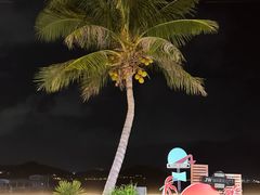 -JW万豪厨房餐厅·滨海草坪烧烤·海鲜·海景(三亚绿发山海天JW万豪酒店)