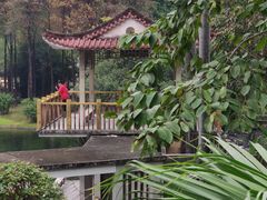 -晓港公园