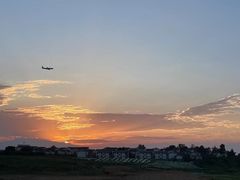 -空港花田景区
