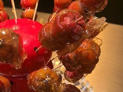 -羲和雅苑•北京烤鸭(平安国际金融中心店)