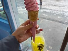 -萨朗刀克冰淇淋雪花凉(植物园店)