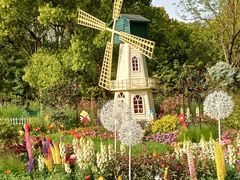 -上海共青森林公园