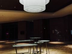 门口的水晶灯-海宁铂尔曼酒店紫荆中餐厅