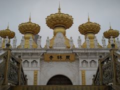 -上海东林寺(金山区)