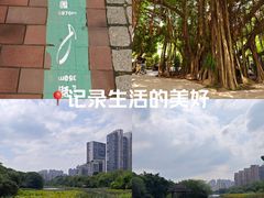 -金山公园