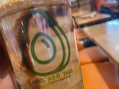 -油梨树 AVOCADO TREE(亮马桥店)