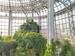 -郑州植物园