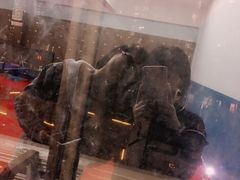 -大凤凰乒乓球馆