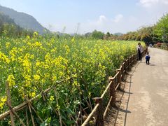 -贵阳市花溪国家城市湿地公园