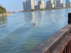-绍兴镜湖国家城市湿地公园