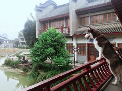 -龙潭水乡