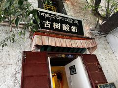 门面-古树酸奶(八廓南街店)