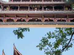 -南山植物园