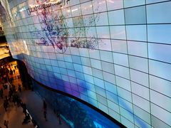 -迪拜水族馆及水下动物园