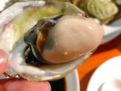 -南蚝小贝海鲜特色餐厅(南澳岛店)