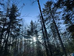 -峡谷浮石林景区