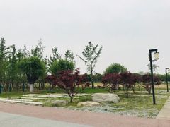 -汉长安城未央宫国家考古遗址公园