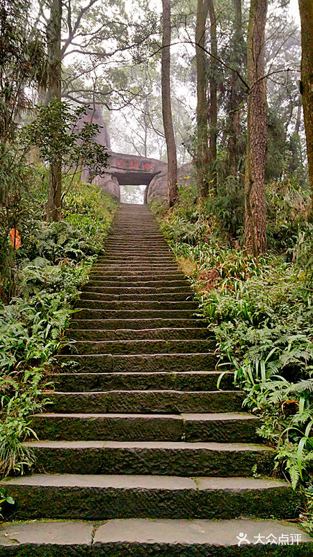 歌樂山國家森林公園圖片