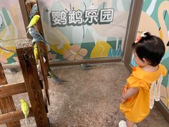 -杭州开元森泊度假乐园