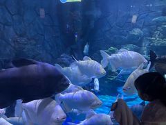 -多彩贵州城极地海洋世界