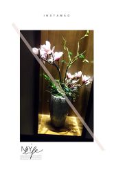 -盘子女人坊生日照·摄影馆(华强店)