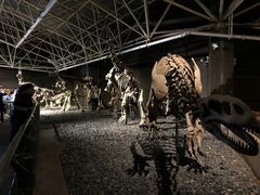 -世界恐龙谷景区