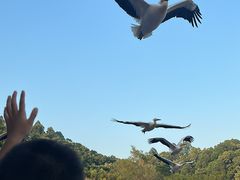 -深圳野生动物园