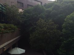 -香港大学
