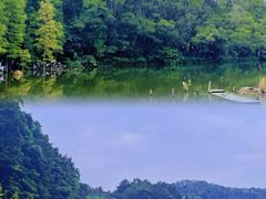 -深圳仙湖植物园