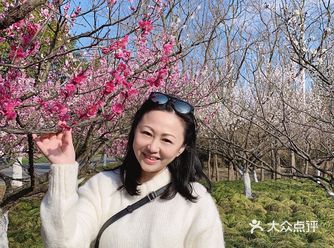 春天来啦！带着狗狗去看梅花啦️