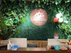 -小熊维尼高端儿童摄影(罗湖区总店)