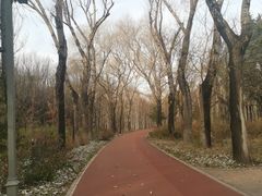 -长春市南湖公园