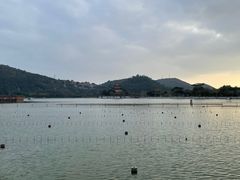 -顺峰山公园