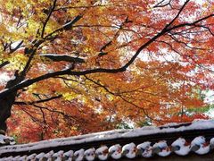 -南山风景名胜区
