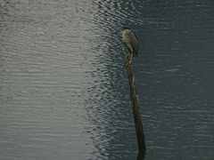 -滨湖塘西河公园