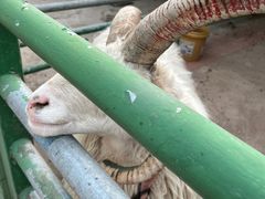 -瑞博尔花园酒店(太周创新产业园店)