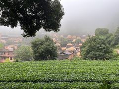 -杨家堂村