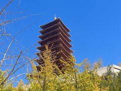 -牛首山文化旅游区