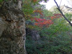 -大连天门山国家森林公园