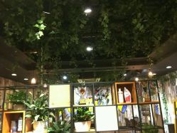 -藤野造型·专业烫染店