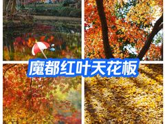 -秋霞圃