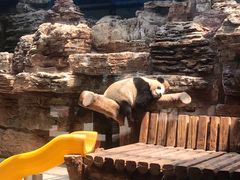 -辛玛王国游乐园