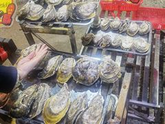 -蚝专家(北滘店)