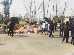 -艾溪湖湿地公园