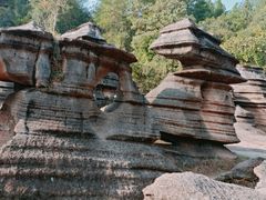 -梭布垭石林景区