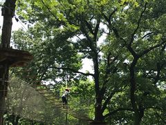 -WeLope紫金山探险公园
