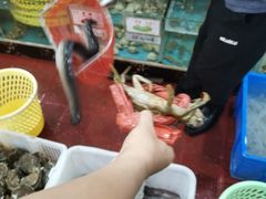 -源海渔村·现捞海鲜(大角湾店)