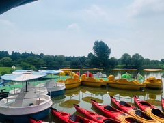 -太阳岛度假酒店